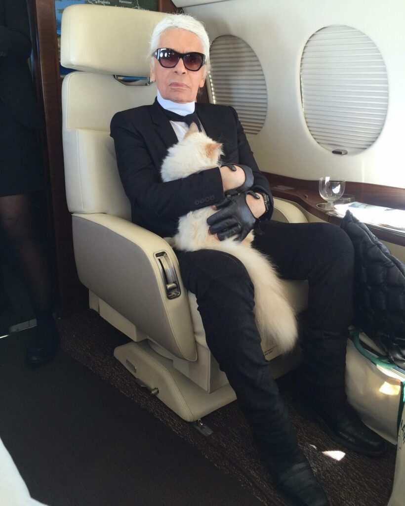 לגרפלד במטוסו הפרטי עם החתולה שלו
